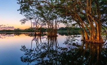 la laguna lotes terrenos localizaçao preço preco valor praia do forte alto padrao imagens galeria 04